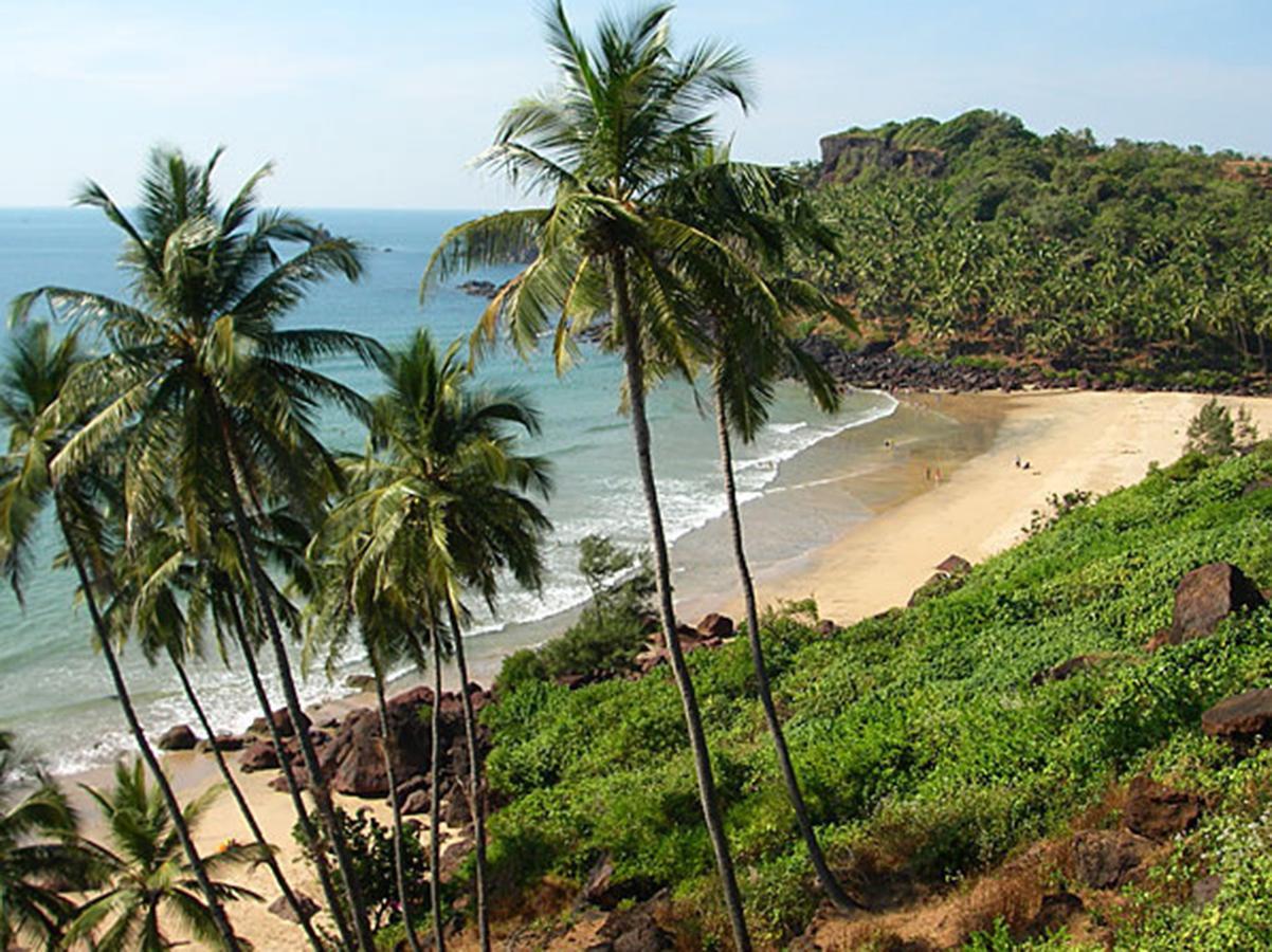 Blue Lagoon Resort Goa Cola Eksteriør billede