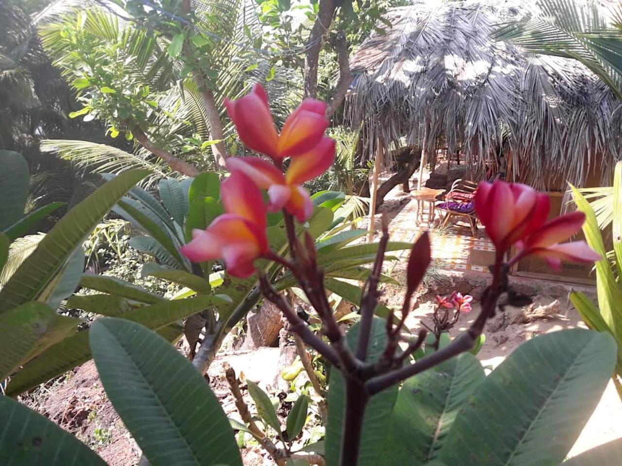 Blue Lagoon Resort Goa Cola Eksteriør billede